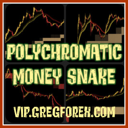 POLYCHROMATIC MONEY SNAKE