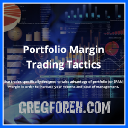 Trading Dominion – Portfolio and SPAN Margin Trading Tactics